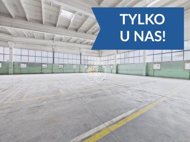 Komercyjne na sprzedaż w Toruń, Kujawsko-pomorskie