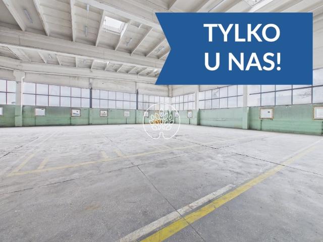 Komercyjne na sprzedaż w Toruń, Kujawsko-pomorskie