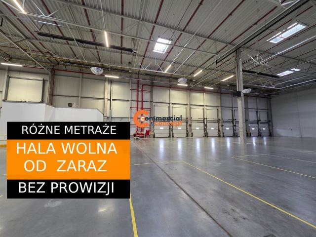 Komercyjne do wynajęcia w Zabierzów, Małopolskie