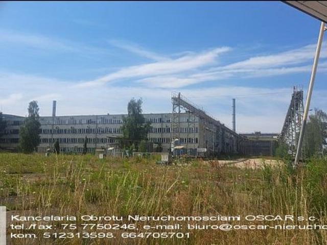 Mieszkanie do wynajęcia w Zgorzelec, powiat zgorzelecki