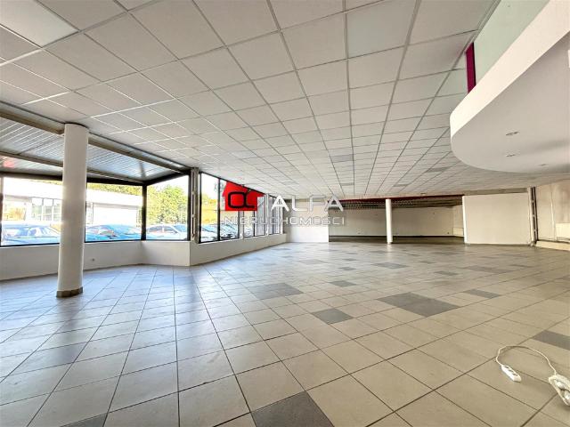 Mieszkanie do wynajęcia w Świdnica, Dolnośląskie