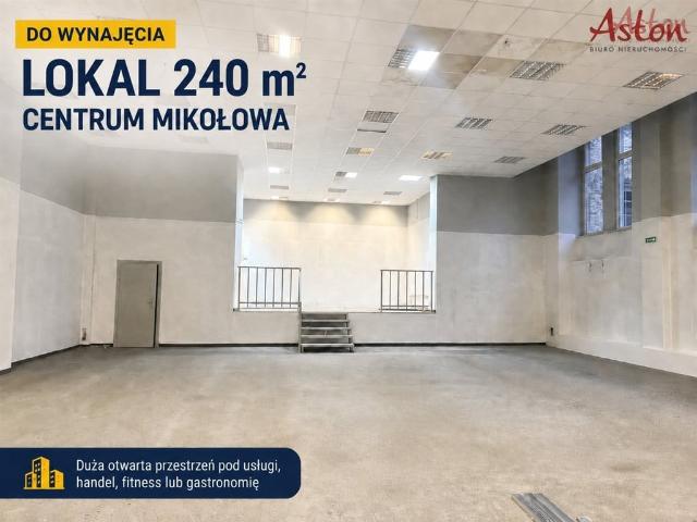 Mieszkanie do wynajęcia w Mikołów, Śląskie