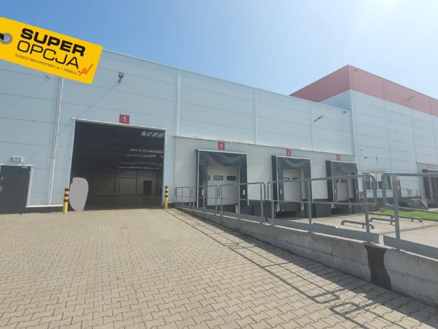 Komercyjne do wynajęcia w Niepołomice, Małopolskie