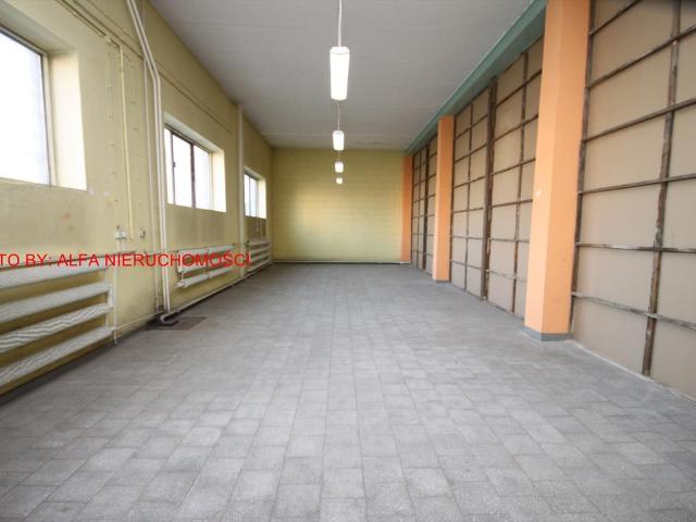 Mieszkanie do wynajęcia w Świdnica, Dolnośląskie