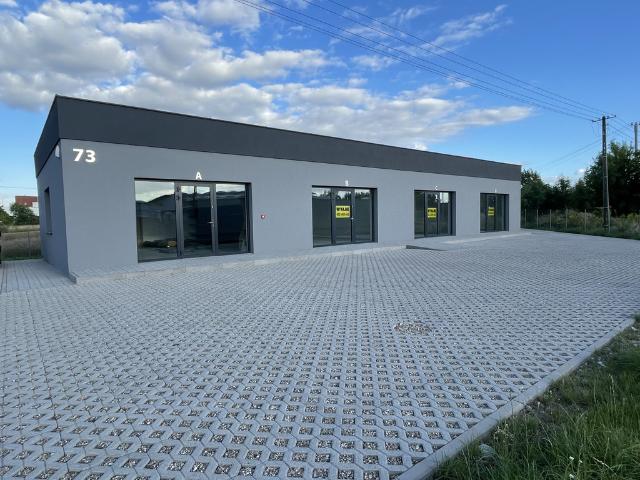 Mieszkanie do wynajęcia w Gruszczyn, Wielkopolskie