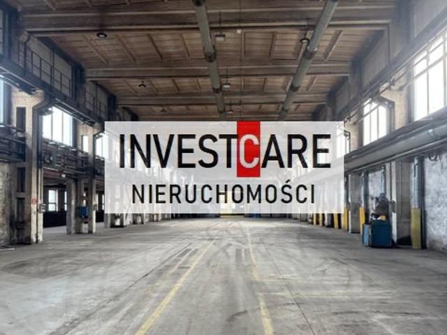 Komercyjne do wynajęcia w Mikołów, Śląskie