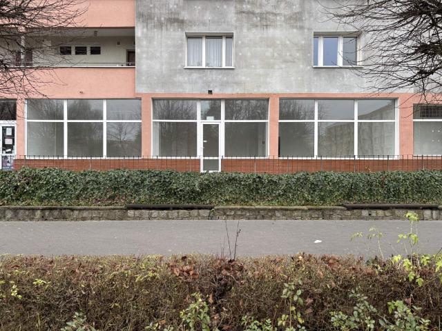 Mieszkanie do wynajęcia w Piła, Wielkopolskie