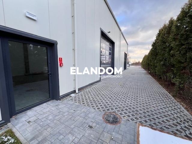 Komercyjne do wynajęcia w Dębe Wielkie, Mazowieckie