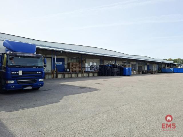 Mieszkanie do wynajęcia w Podlaskie