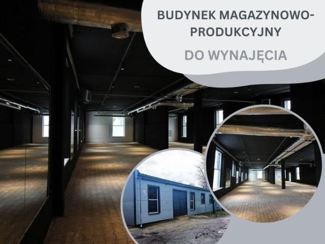 Komercyjne do wynajęcia w Namysłów, Opolskie