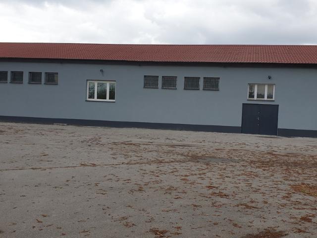 Mieszkanie do wynajęcia w Podklasztorze, Jędrzejów
