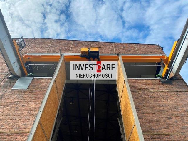 Komercyjne do wynajęcia w Mikołów, Śląskie