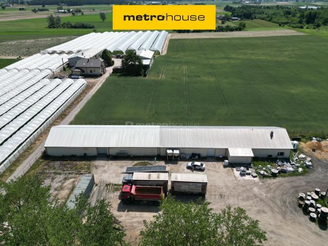 Komercyjne do wynajęcia w Mazowieckie