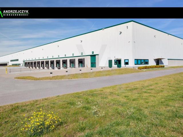 Komercyjne do wynajęcia w Gdańsk, Pomorskie