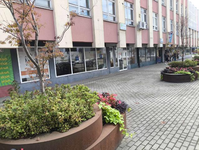 Mieszkanie do wynajęcia w Opolskie