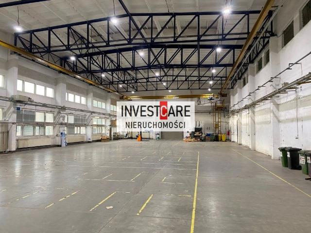 Komercyjne do wynajęcia w Katowice, Śląskie