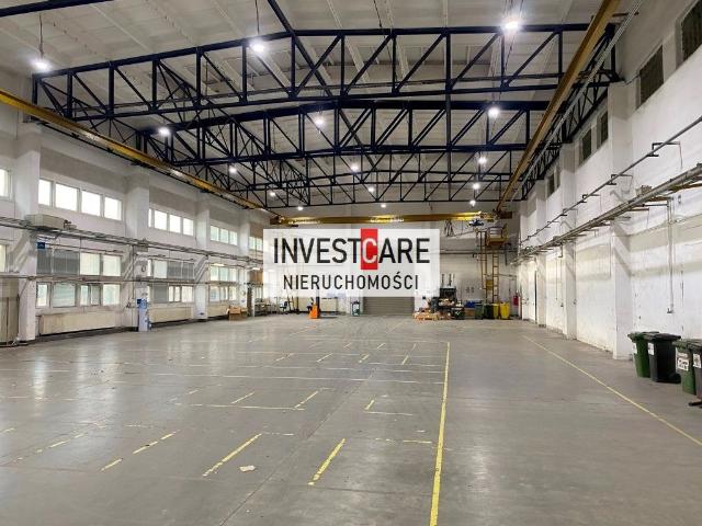 Komercyjne do wynajęcia w Katowice, Śląskie