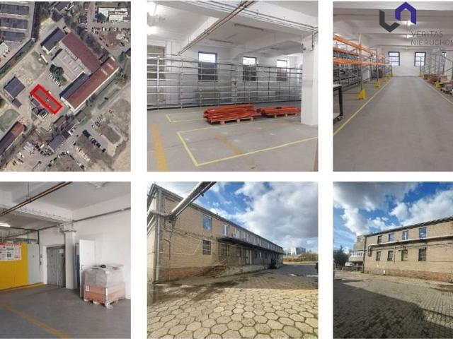 Komercyjne do wynajęcia w Katowice, Śląskie