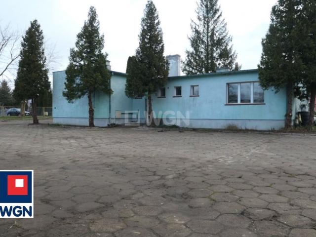 Mieszkanie do wynajęcia w Kwidzyn, Pomorskie