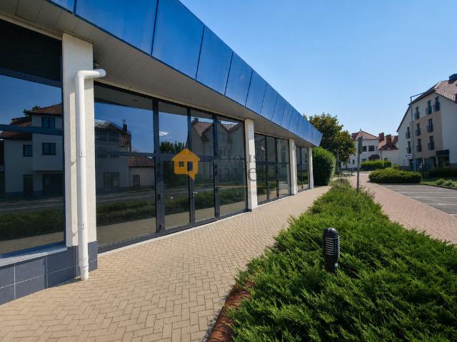 Mieszkanie do wynajęcia w Stare Miasto, Polkowice