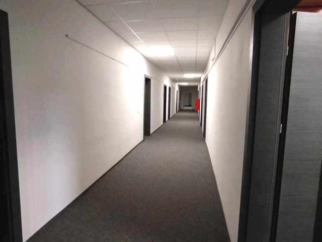 Mieszkanie do wynajęcia w Łódź, Łódzkie