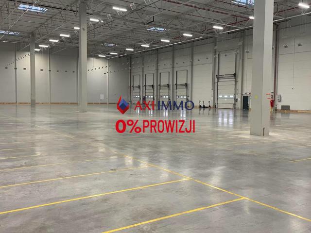 Komercyjne do wynajęcia w Łódź, Łódzkie