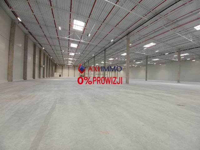 Komercyjne do wynajęcia w Łódź, Łódzkie