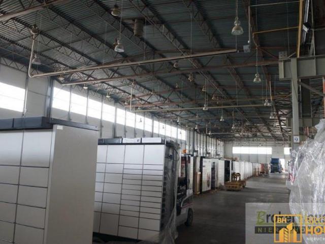 Komercyjne do wynajęcia w Opole, Opolskie