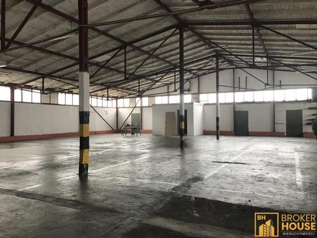 Komercyjne do wynajęcia w Opole, Opolskie