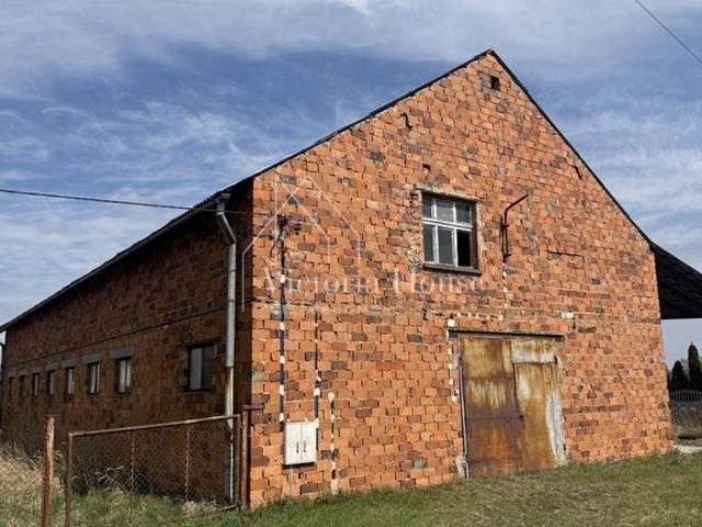 Komercyjne do wynajęcia w Opole, Opolskie