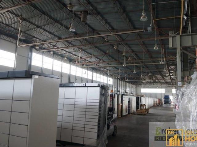 Komercyjne do wynajęcia w Opole, Opolskie