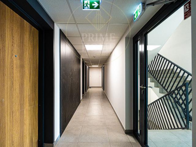 Mieszkanie do wynajęcia w Opole, Opolskie