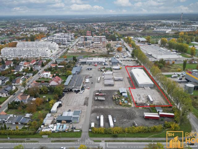 Komercyjne do wynajęcia w Opole, Opolskie