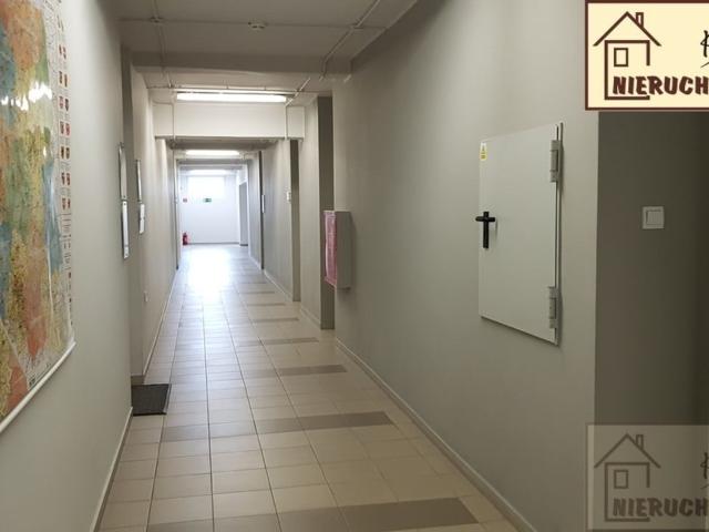 Mieszkanie do wynajęcia w Poznań, Wielkopolskie