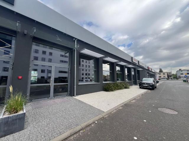 Mieszkanie do wynajęcia w Poznań, Wielkopolskie