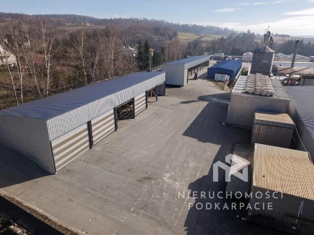 Komercyjne do wynajęcia w Grobla, Czudec