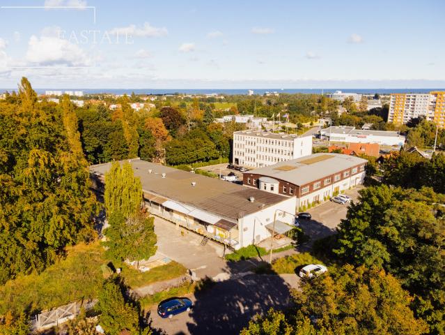 Komercyjne do wynajęcia w Gdańsk, Pomorskie