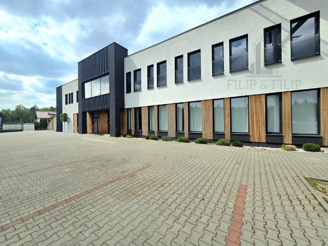 Biuro do wynajęcia w Toruń, Kujawsko-pomorskie
