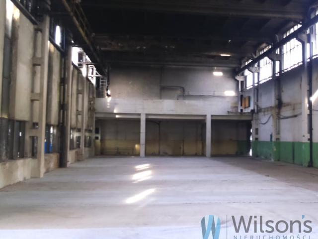 Komercyjne do wynajęcia w Warszawa, Mazowieckie