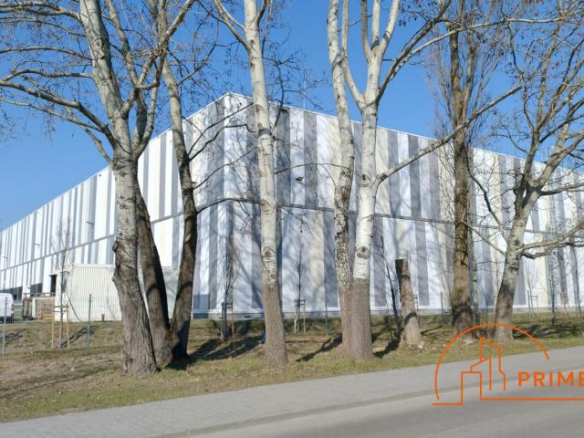 Komercyjne do wynajęcia w Warszawa, Mazowieckie