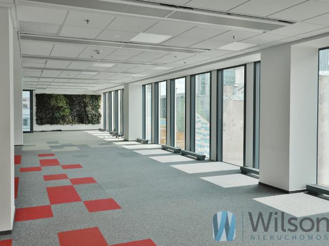 Mieszkanie do wynajęcia w Wola, Warszawa