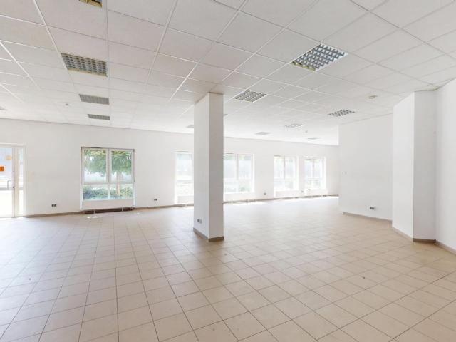 Mieszkanie do wynajęcia w Zabrze, Śląskie