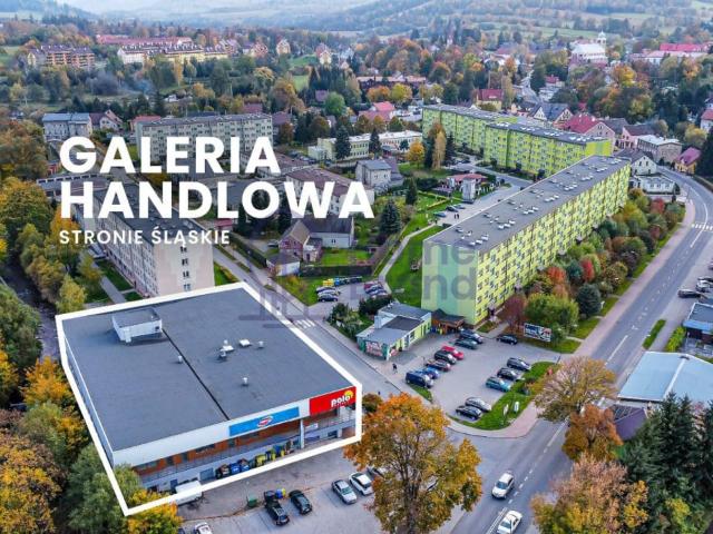 Mieszkanie do wynajęcia w Stronie Śląskie, Dolnośląskie