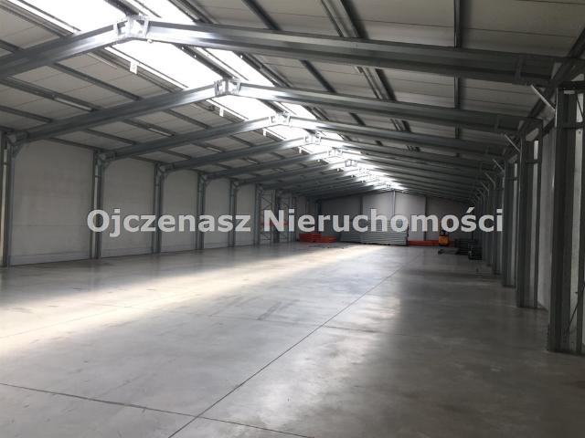Komercyjne na sprzedaż w Osielsko