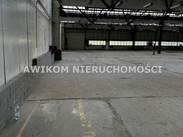 Komercyjne na sprzedaż w Błonie