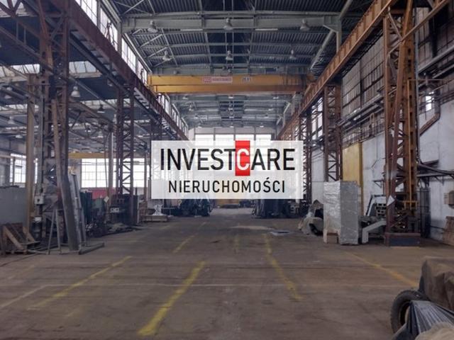 Komercyjne na sprzedaż w Wyry, Śląskie