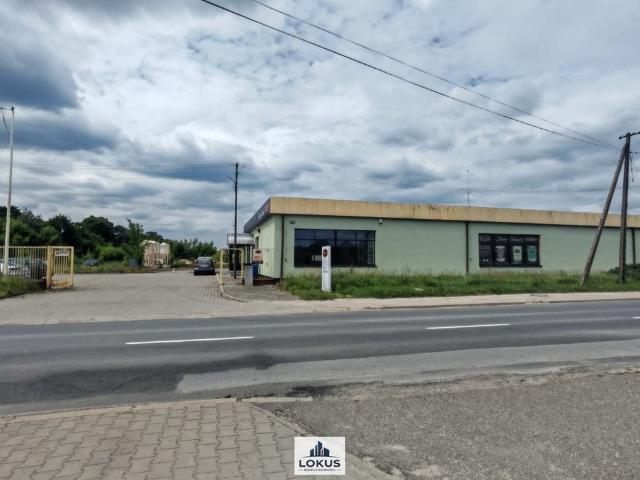 Komercyjne na sprzedaż w Bełchatów, Łódzkie