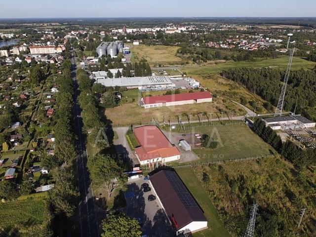 Komercyjne na sprzedaż w Nowogard, powiat goleniowski