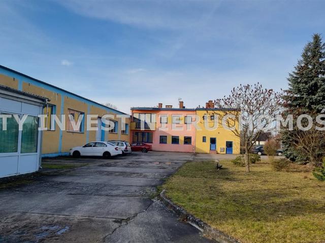 Komercyjne na sprzedaż w Cybinka, Lubuskie