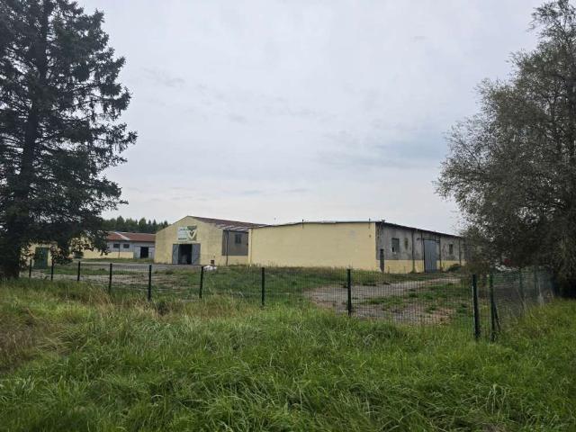 Komercyjne na sprzedaż w Białogard, Zachodniopomorskie